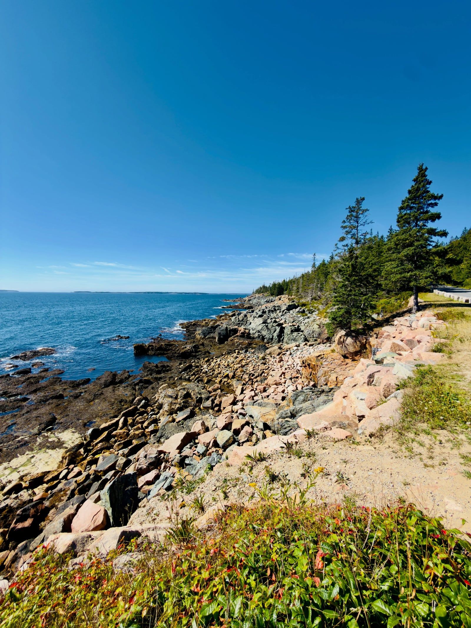 Acadia National Park view