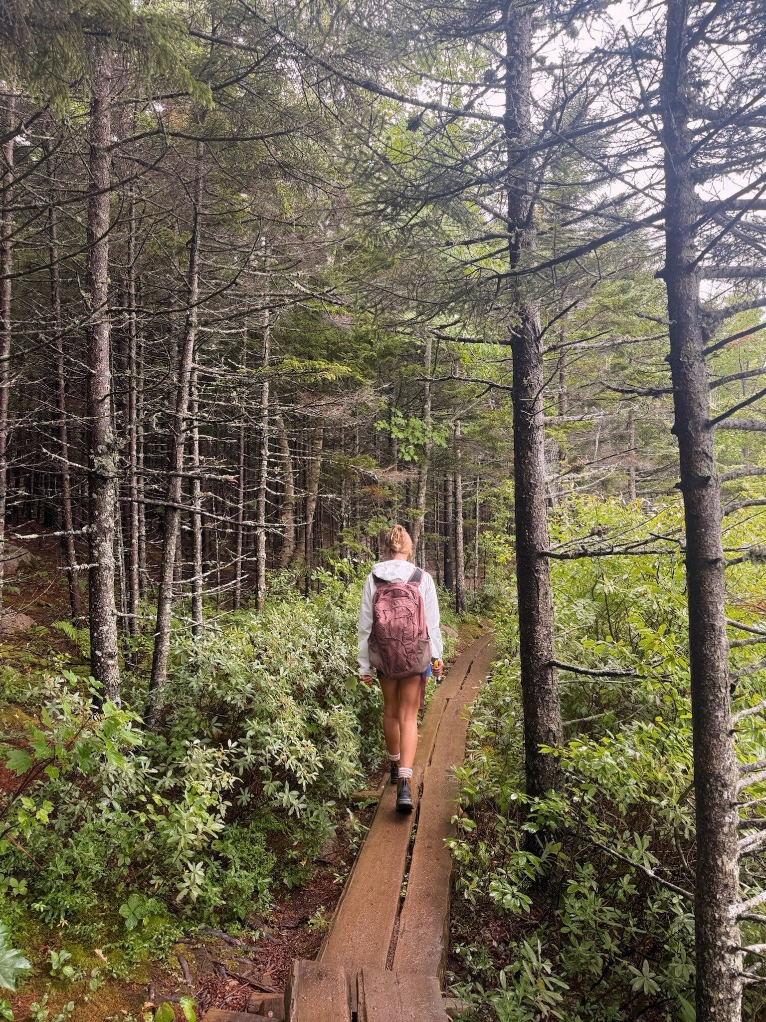 Acadia-Nationalpark Tour-Besucherfoto