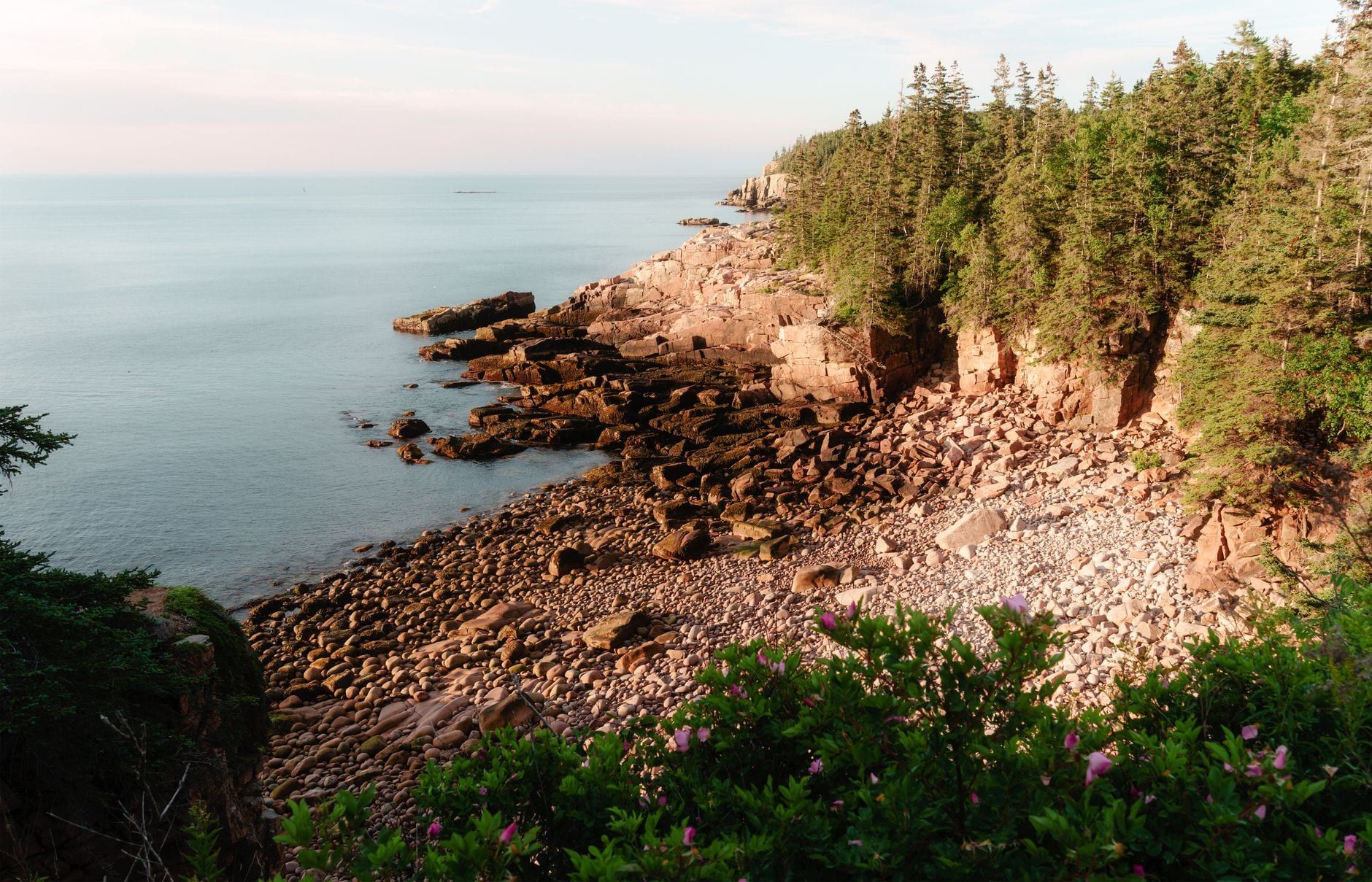 Pink granite cliffs and evergreen forest meet a rocky beach along the Atlantic coast in Acadia National Park.