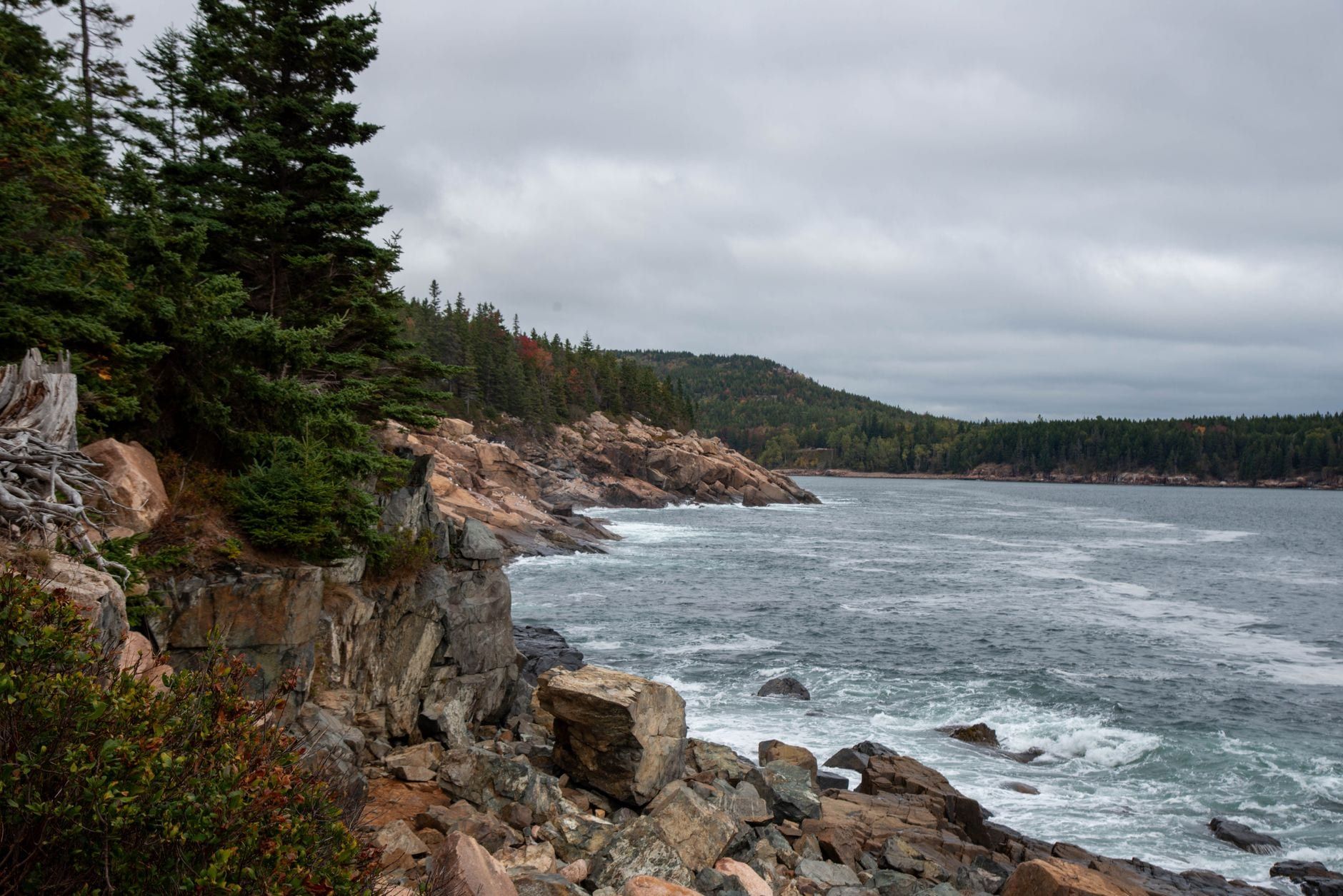 Rugged pink granite cliffs and evergreen trees line the rocky Atlantic coast of Acadia National Park.