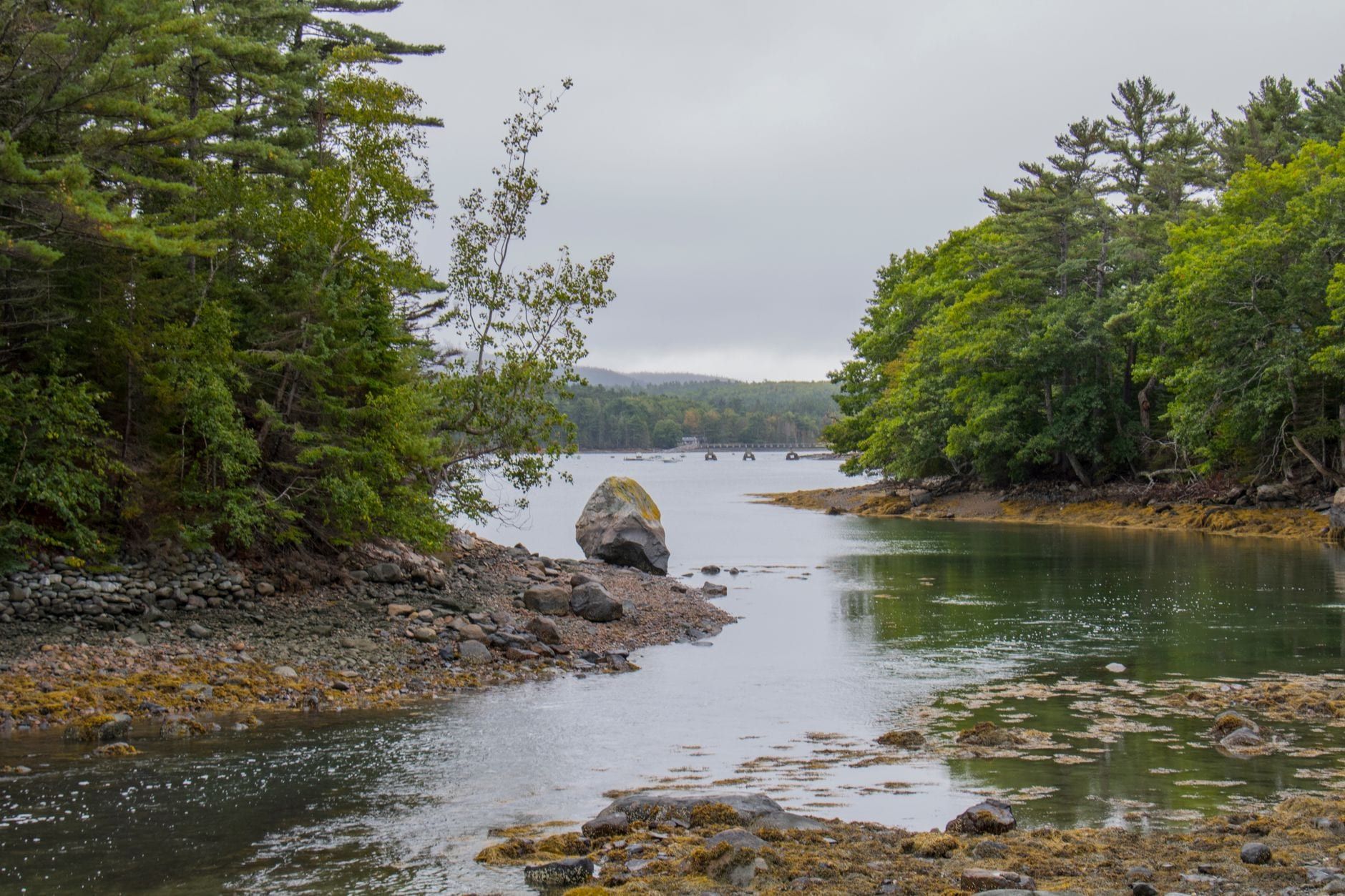 Eine ruhige Gezeitenbucht, umgeben von dichten Kiefern und felsigen Ufern im Acadia-Nationalpark.