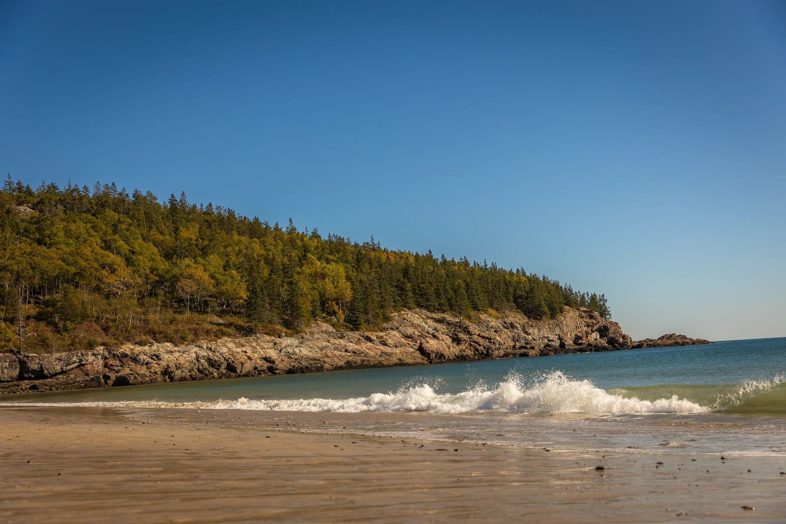 Ocean waves crash onto the shore of Sand Beach beneath forested granite cliffs in Acadia National Park.