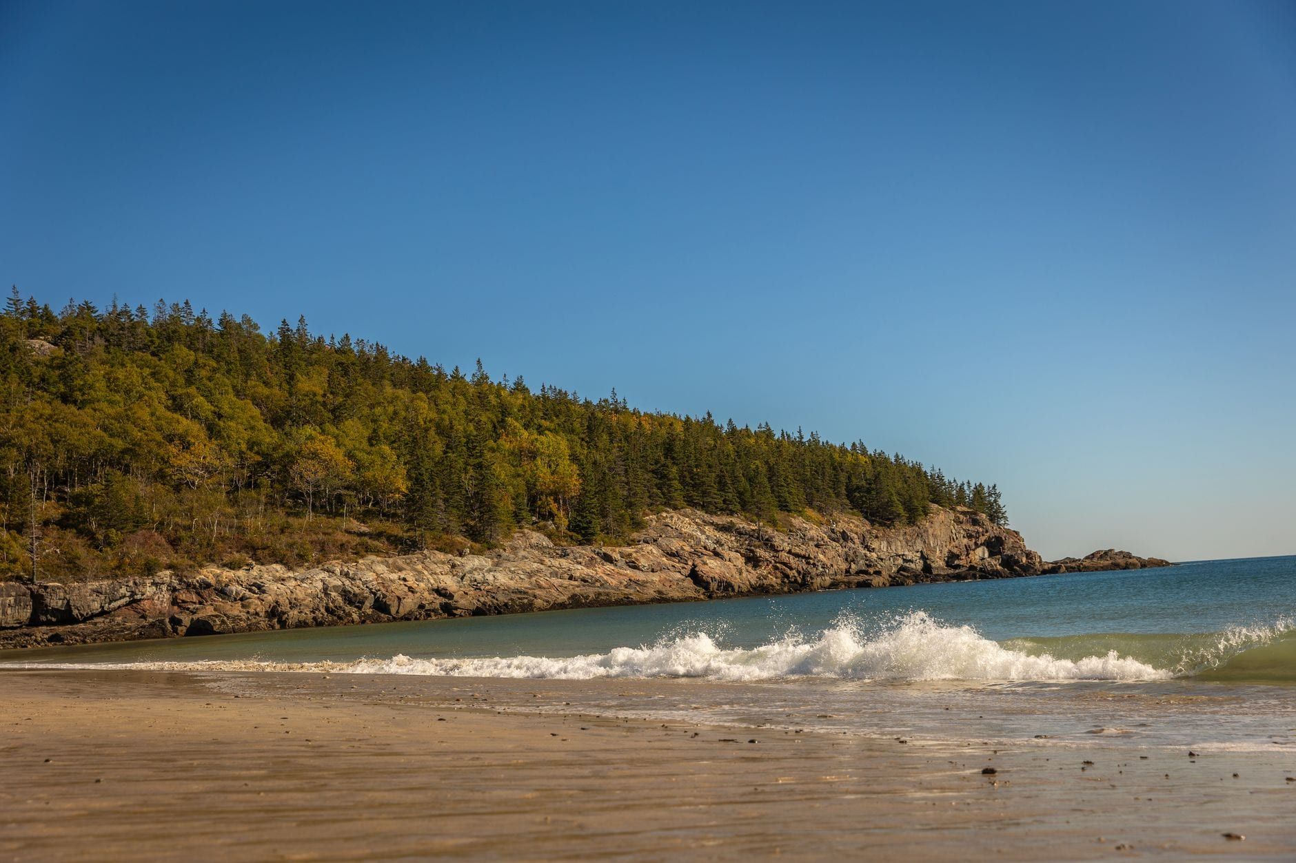 Meereswellen brechen sich unter einem klaren blauen Himmel im Acadia-Nationalpark an Sand Beach, der von bewaldeten, felsigen Klippen umgeben ist.